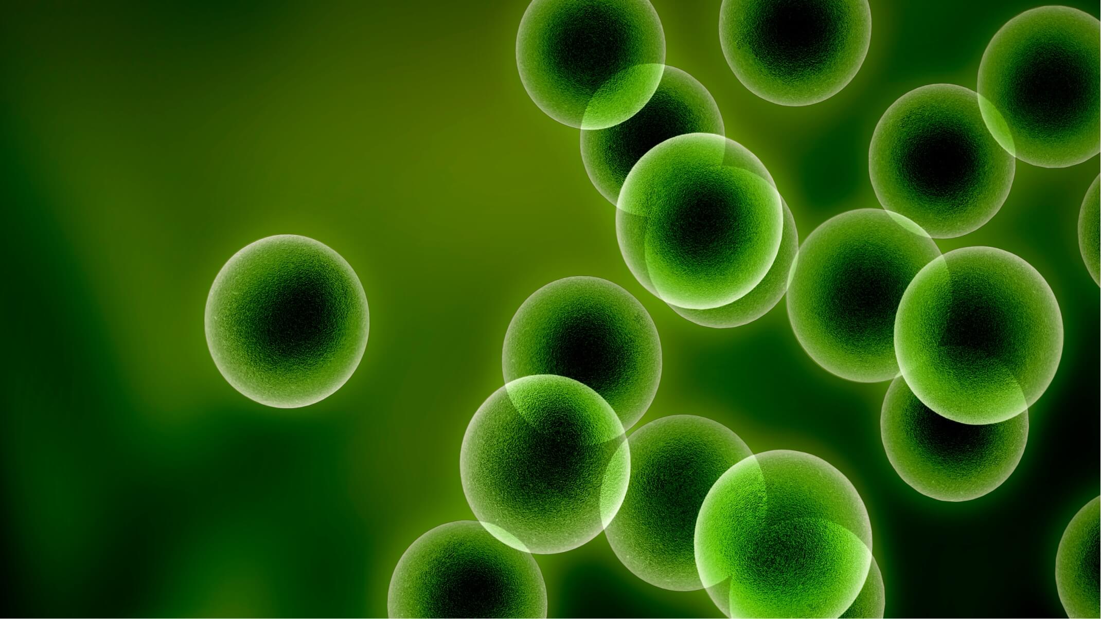 bienfaits des antioxydants