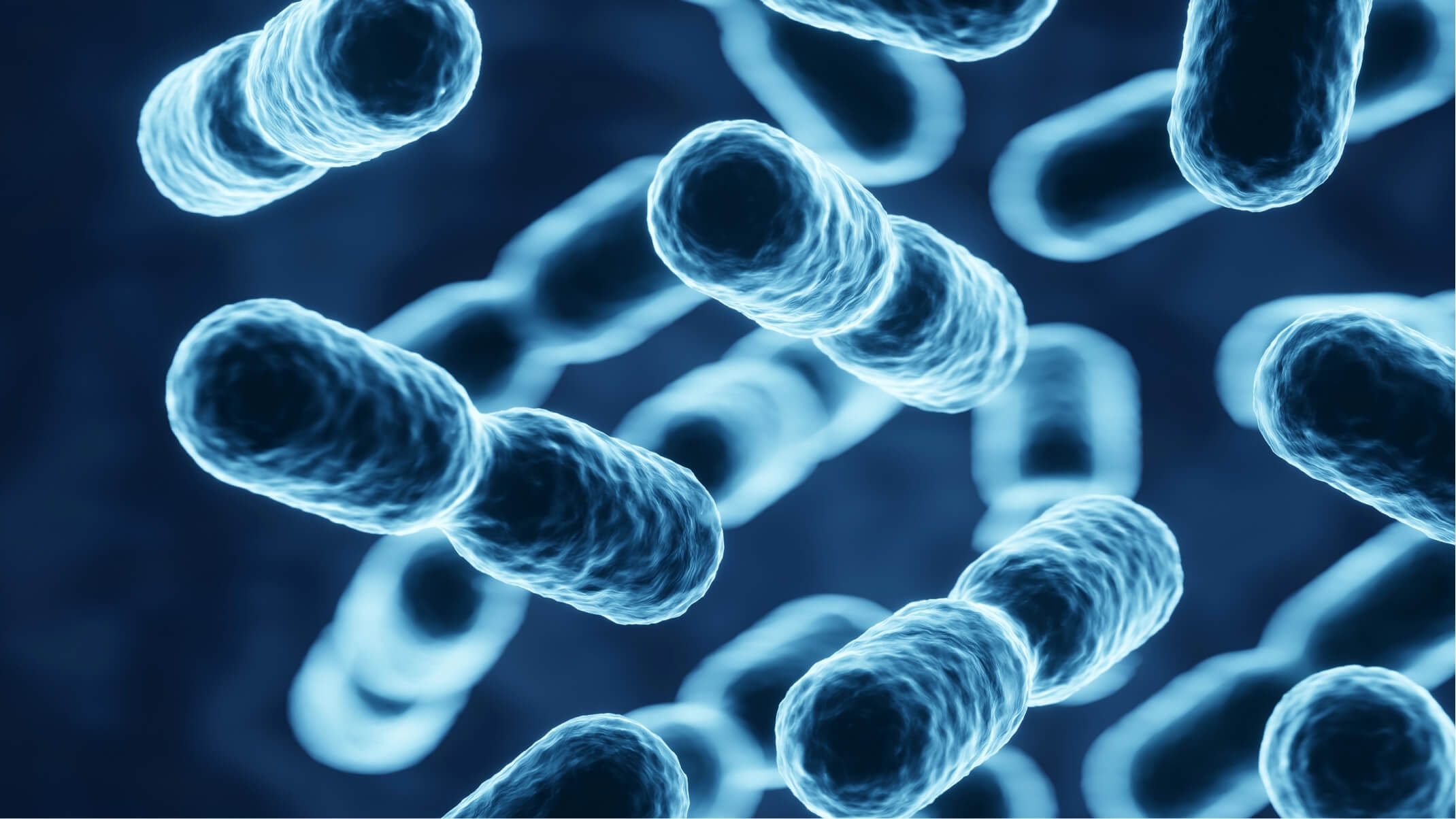 comment bien conserver ses probiotiques