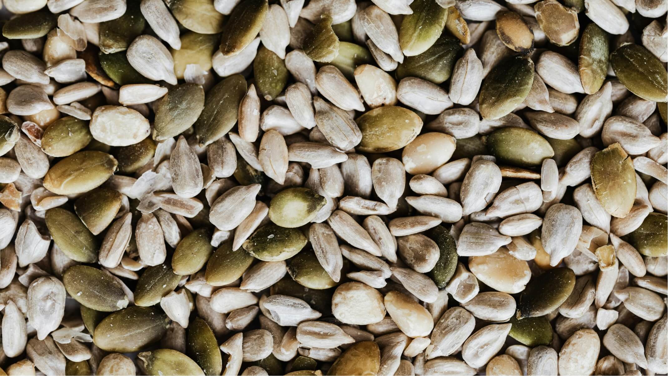 les meilleures sources de proteines vegetales