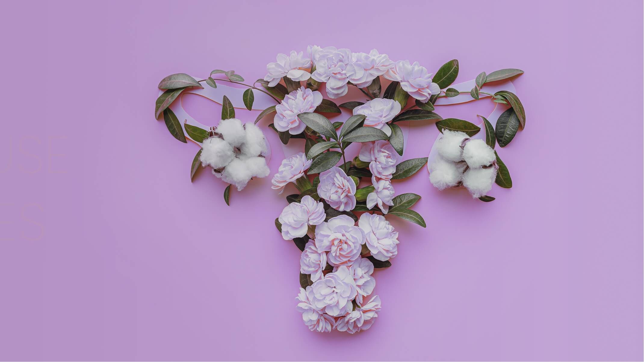 menopause et plantes approche de la naturopathie