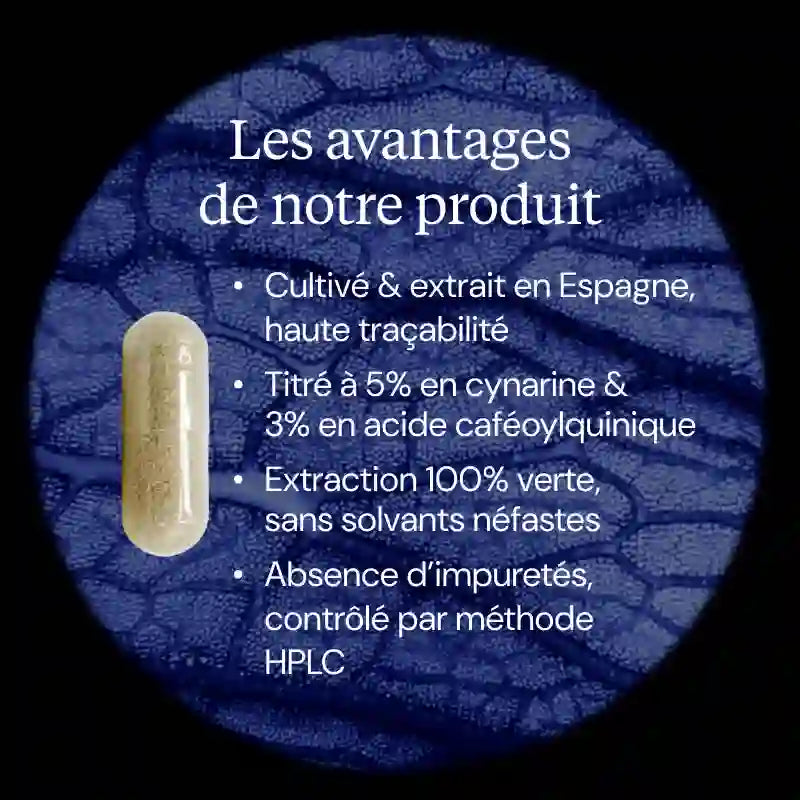 artichaut avantages