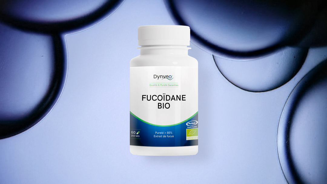 Fucoidane bca81ac8 febc 4bb6 8c1b 6362fab421a2
