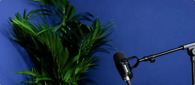 Podcast Dans la Zone Bleue  header web