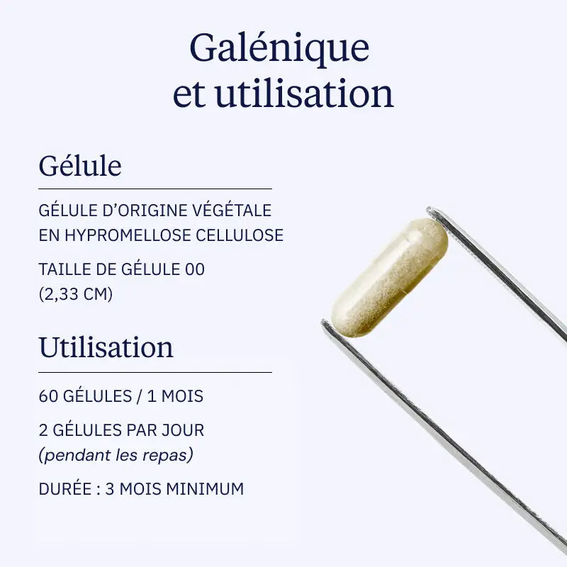 ail noir galenique