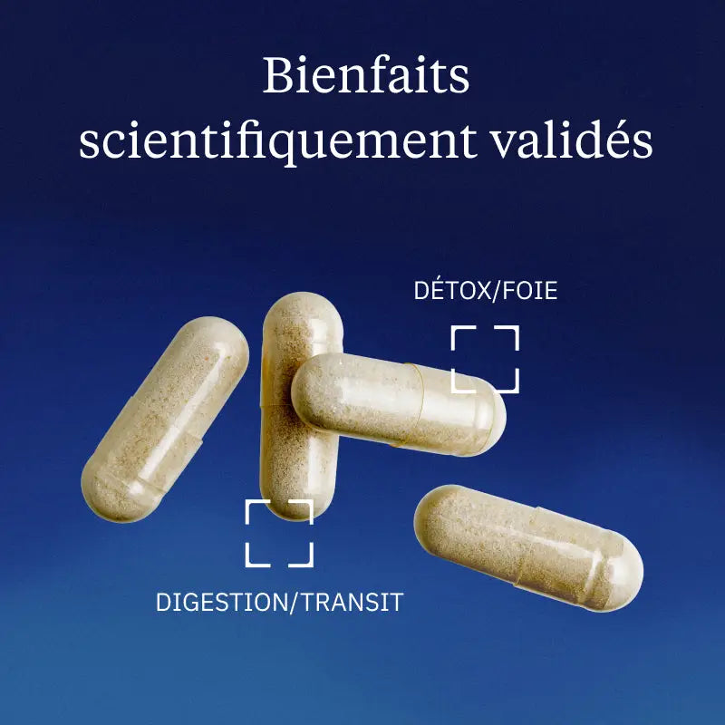 artichaut bienfaits