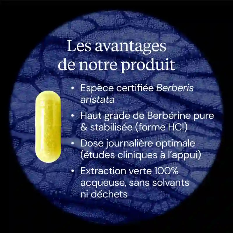 berberine avantages