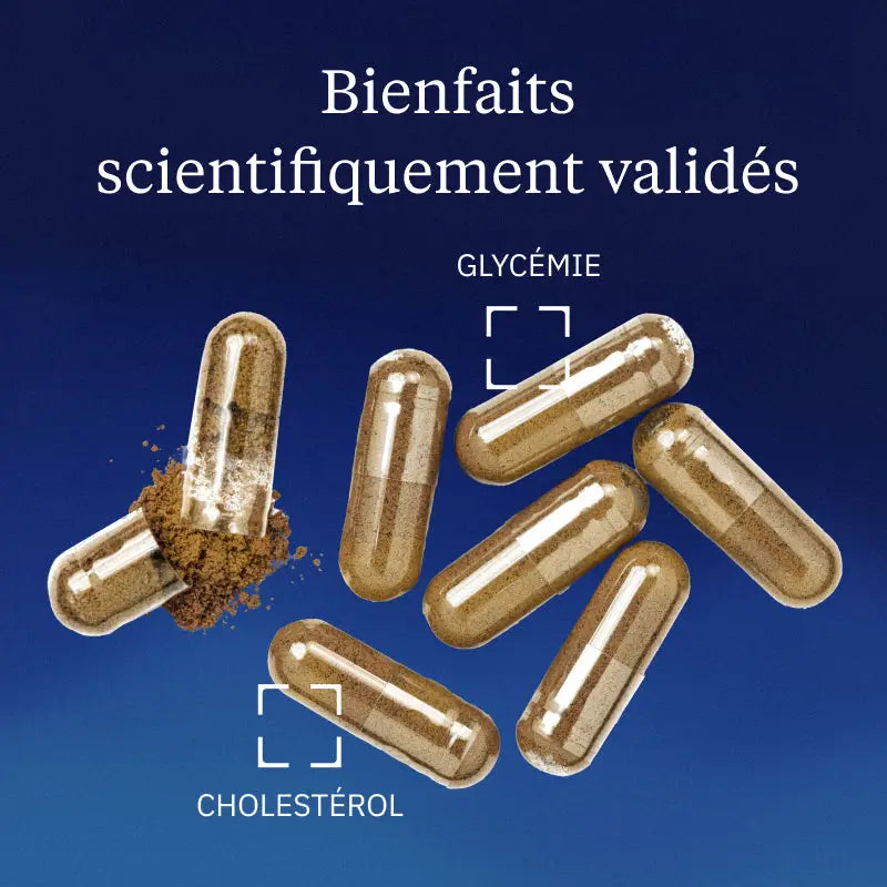 cannelle ceylan bienfaits
