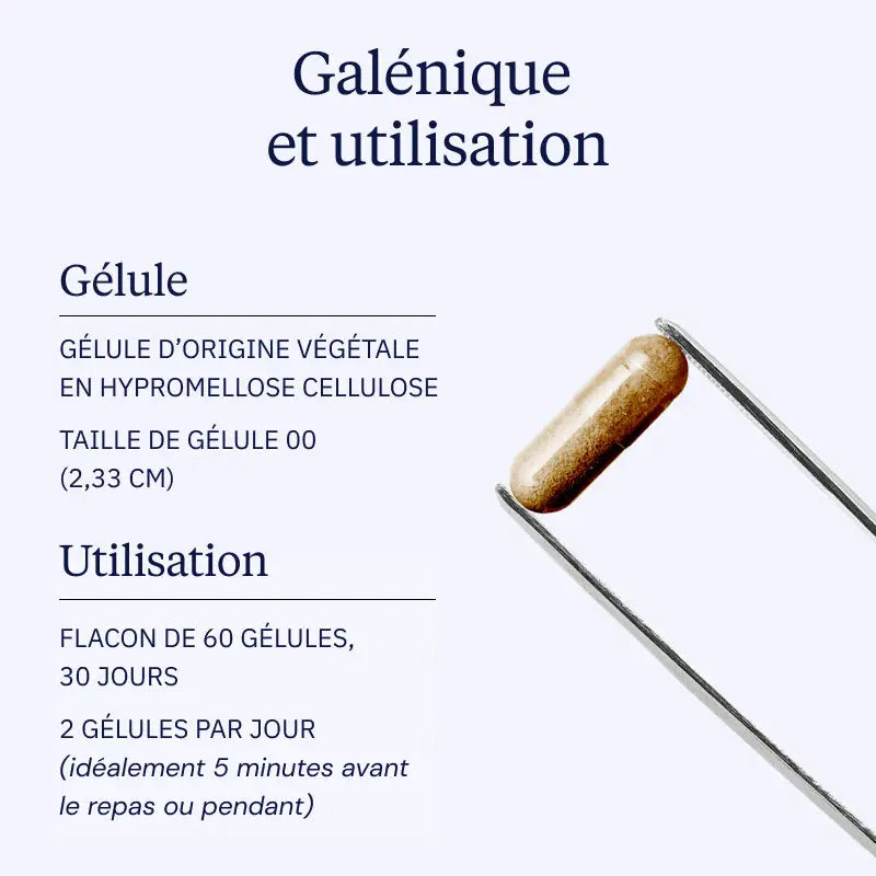 cannelle ceylan galenique