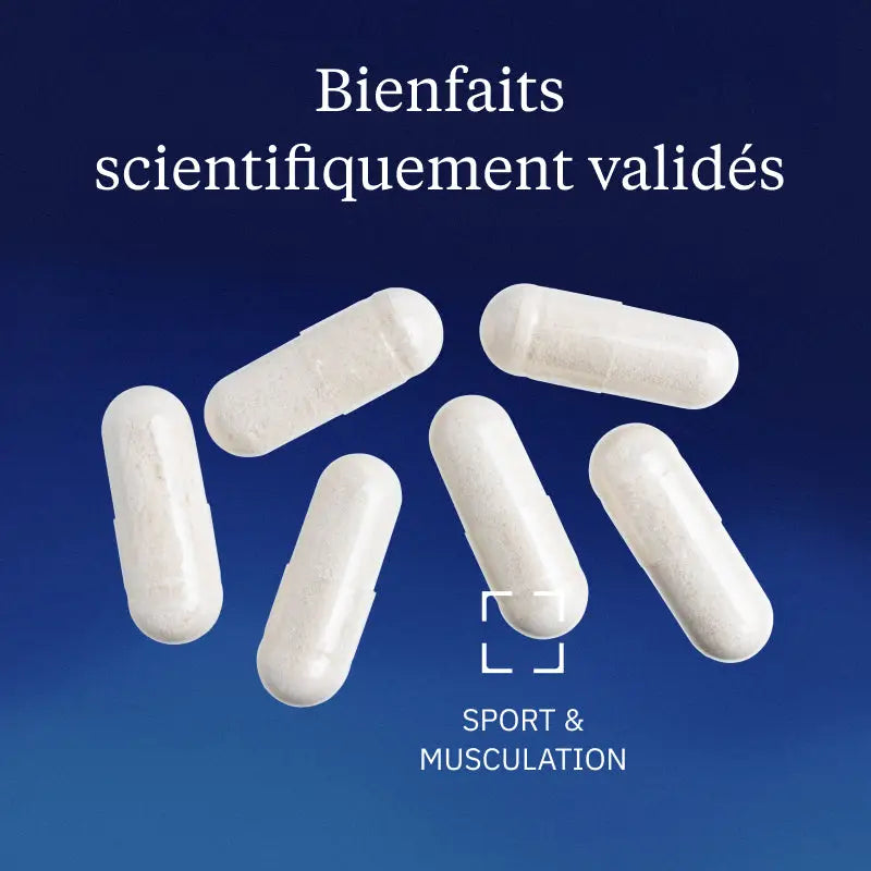 carnosine bienfaits