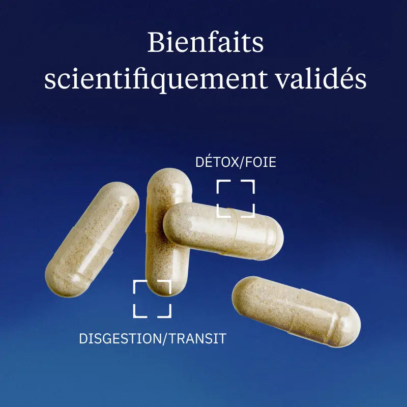 chardon marie bienfaits