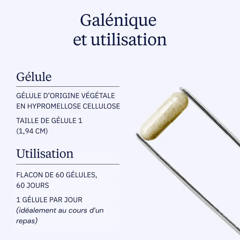 chardon marie galenique