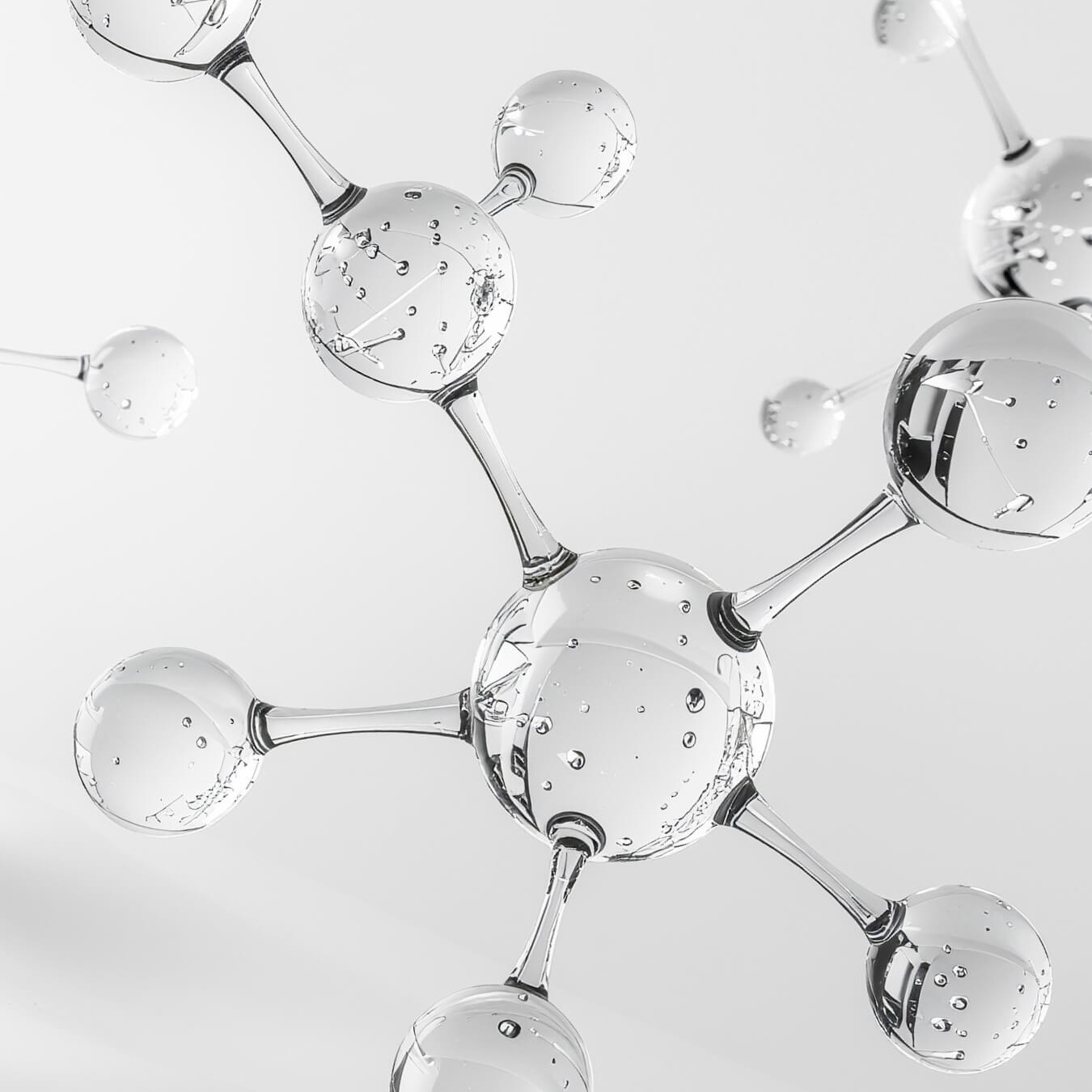 citicoline image ingredient