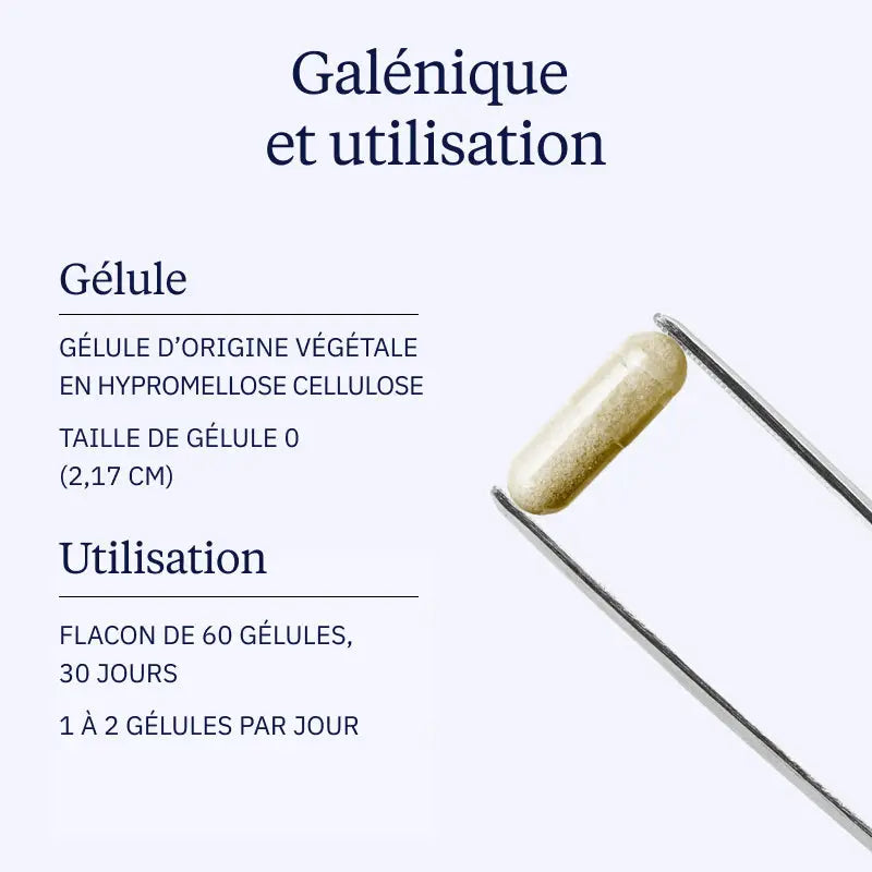 complexe fer galenique