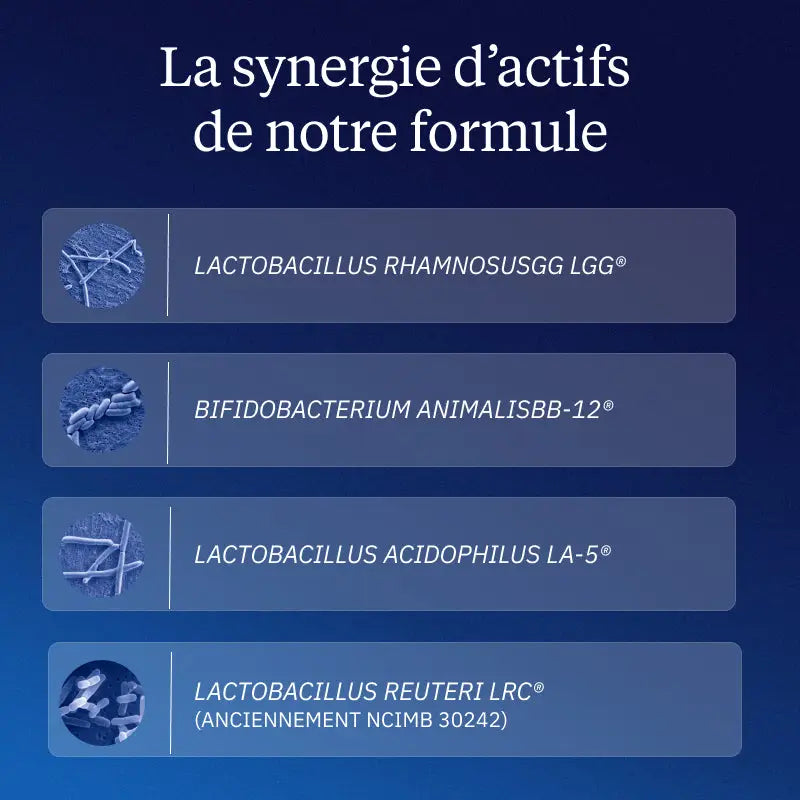 complexe probio bienfaits actifs
