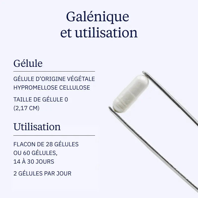 complexe probio galenique