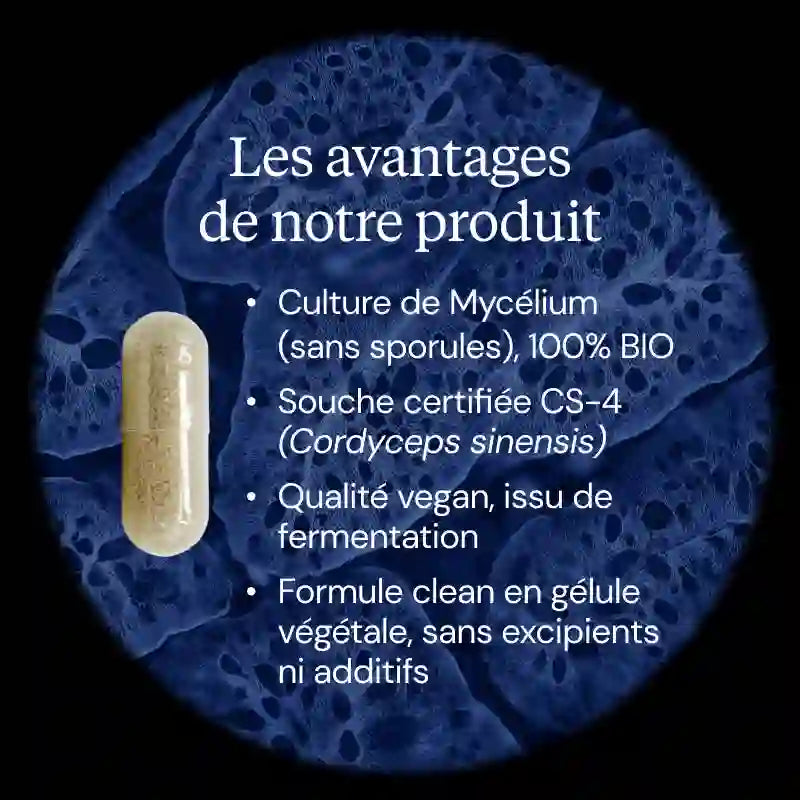 cordyceps avantages