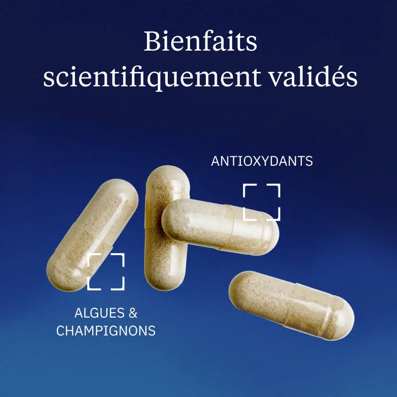 cordyceps bienfaits