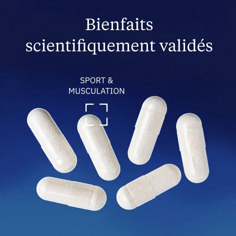 creatine bienfaits