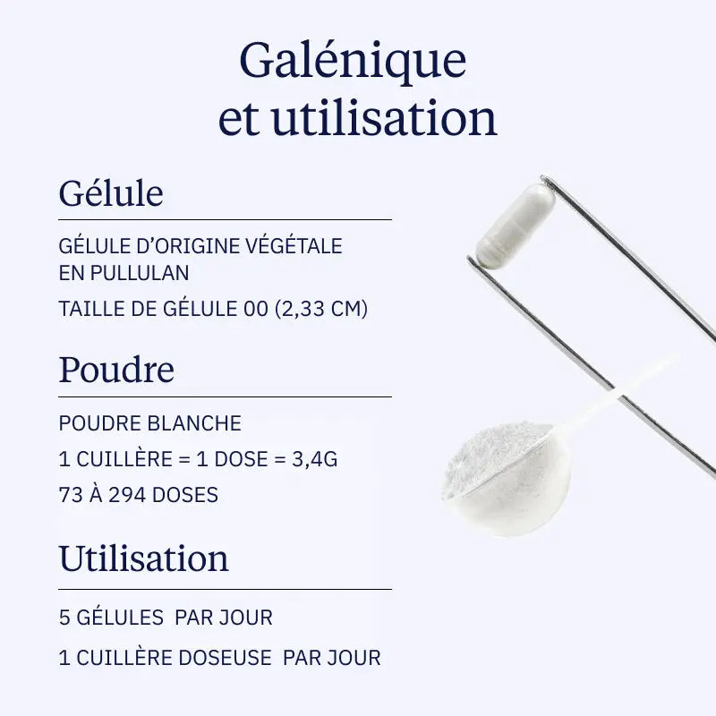 creatine galenique