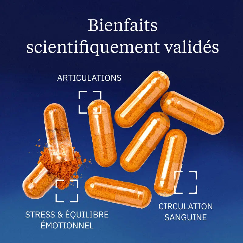 curcumine optimisee gelules bienfaits