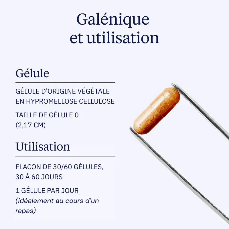 curcumine optimisee gelules galenique