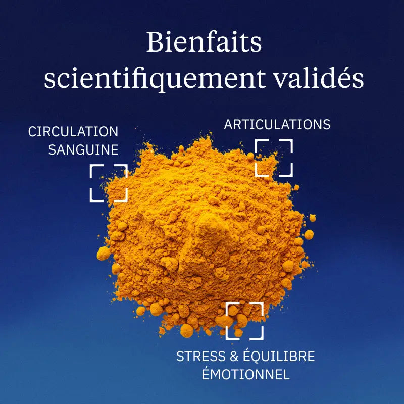 curcumine optimisee poudre bienfaits