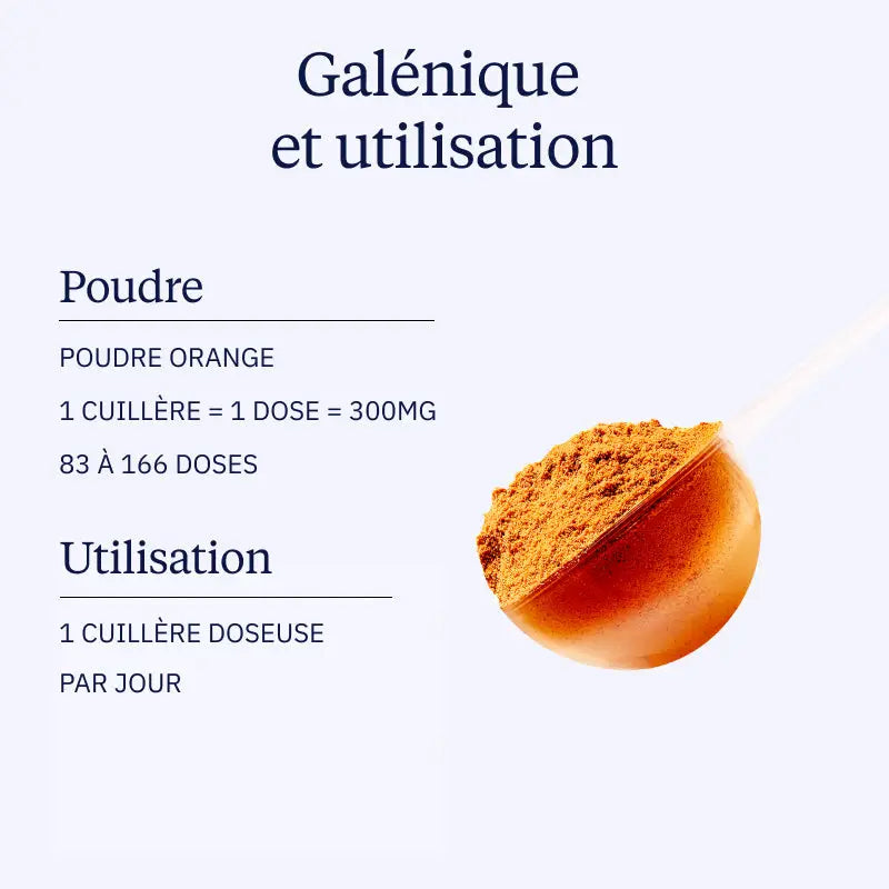 curcumine optimisee poudre galenique
