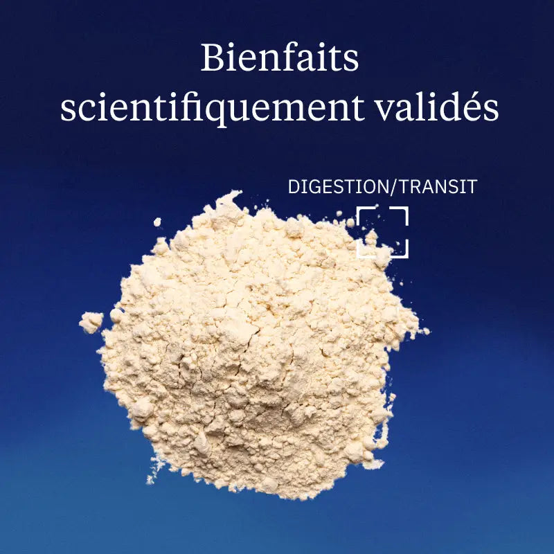fibres acacia bienfaits