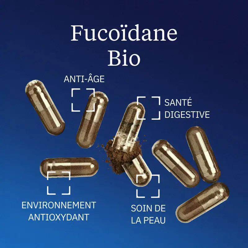 fucoidane bienfaits