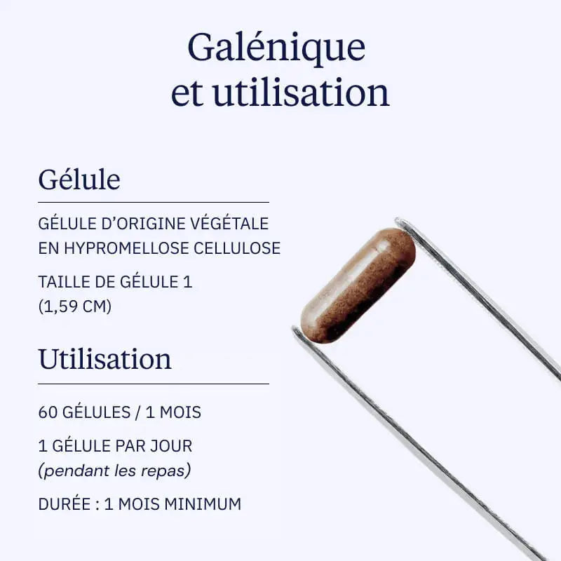 fucoidane galenique