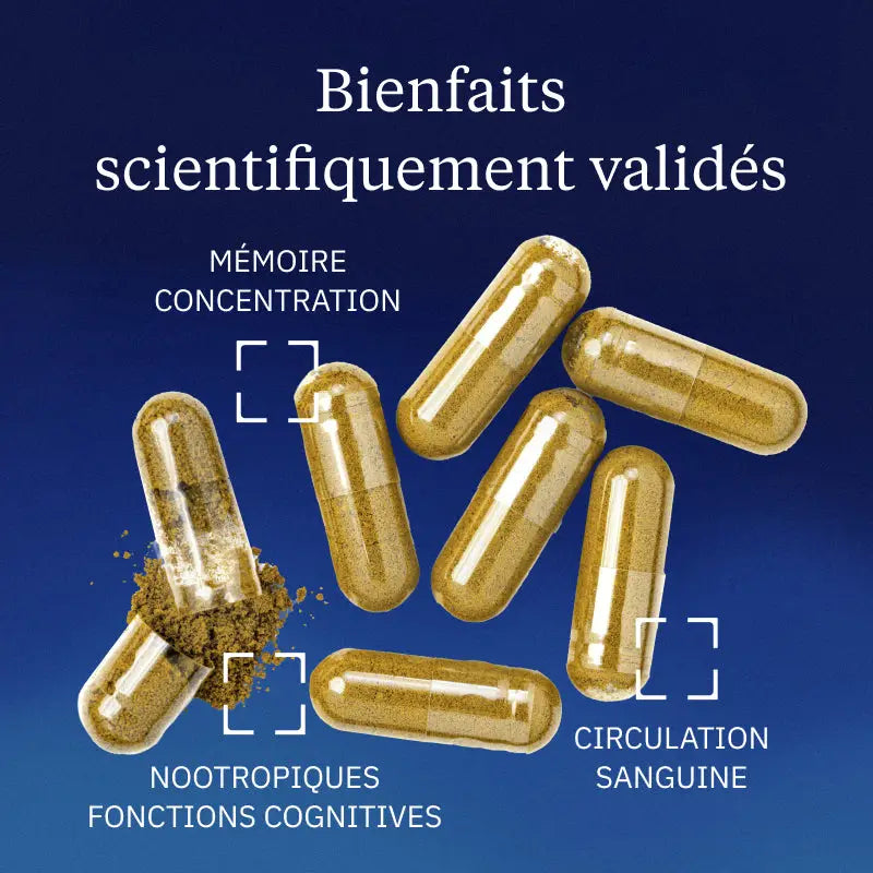 ginkgo biloba bienfaits