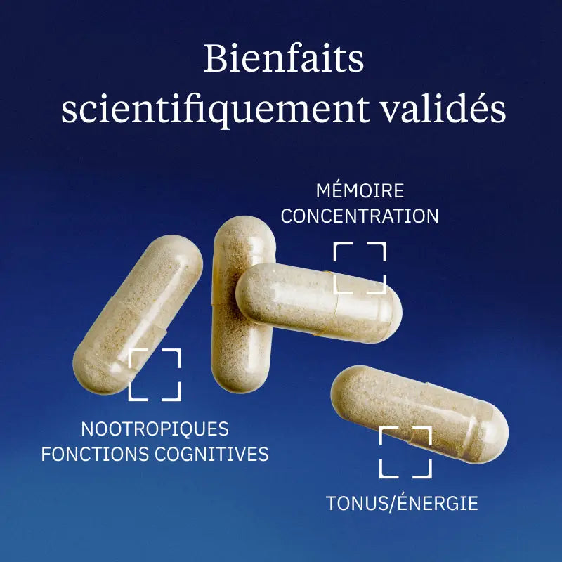 ginseng rouge coreen bienfaits