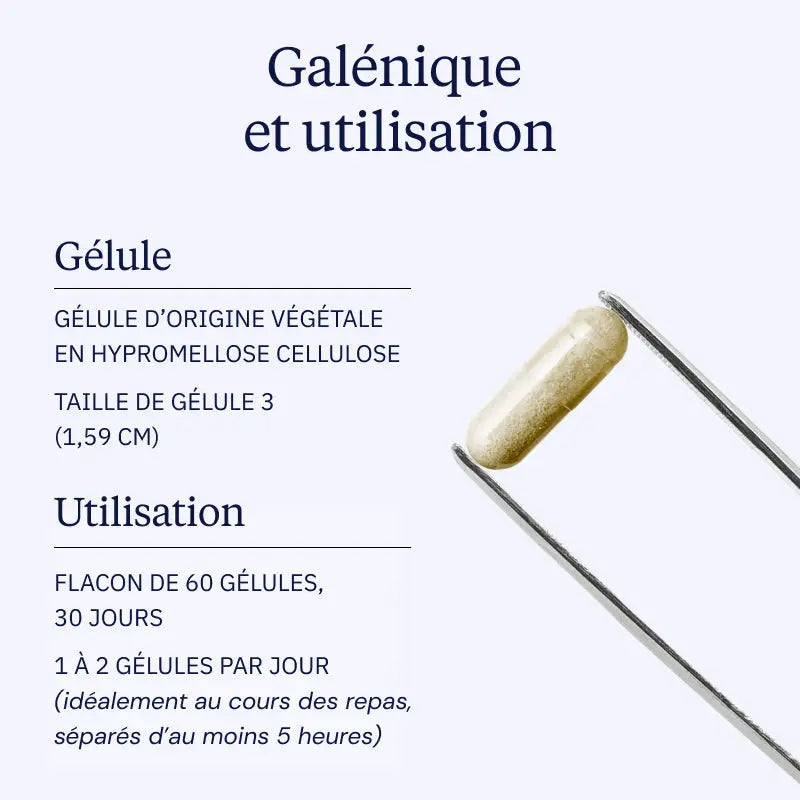 ginseng rouge coreen galenique