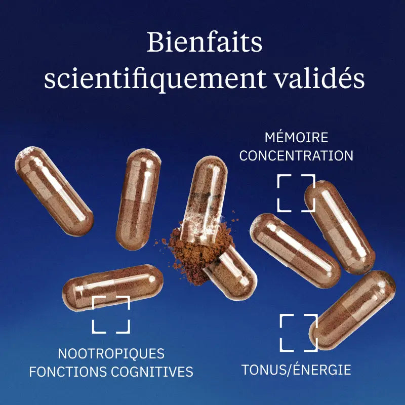 ginseng rouge premium bienfaits