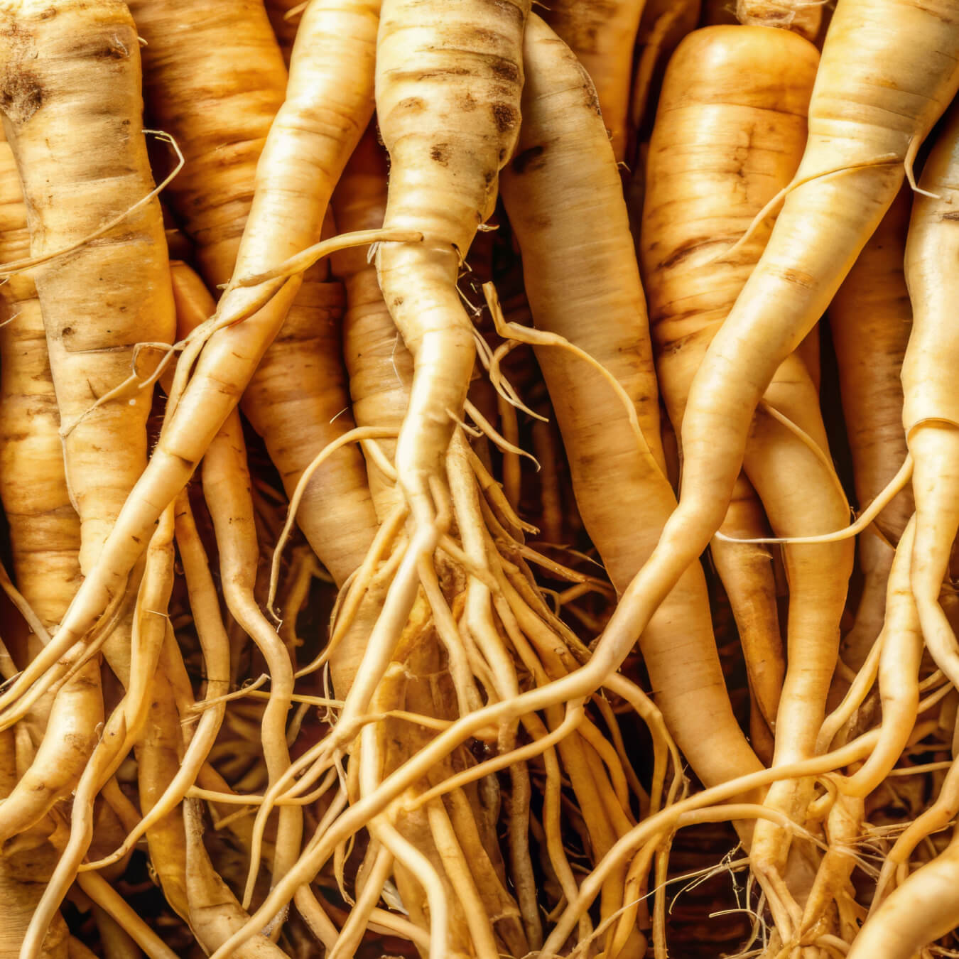 ginseng rouge premium image ingredient