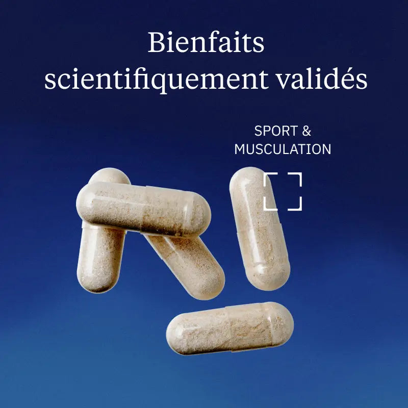 glucosamine chondroitine bienfaits