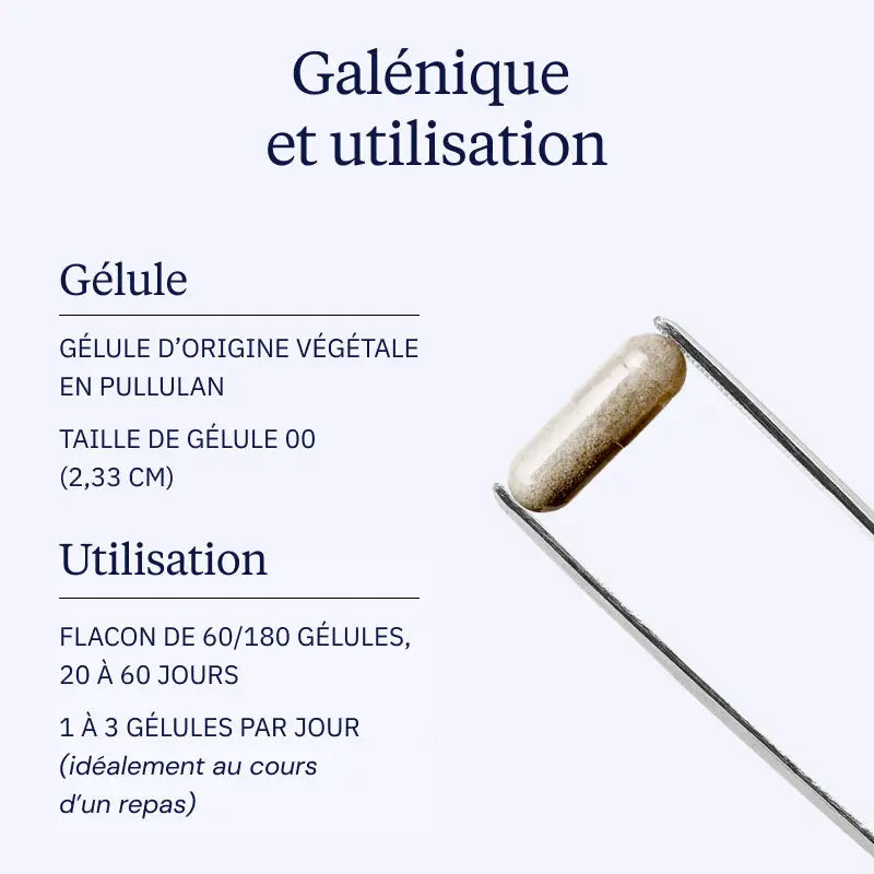 glucosamine chondroitine galenique