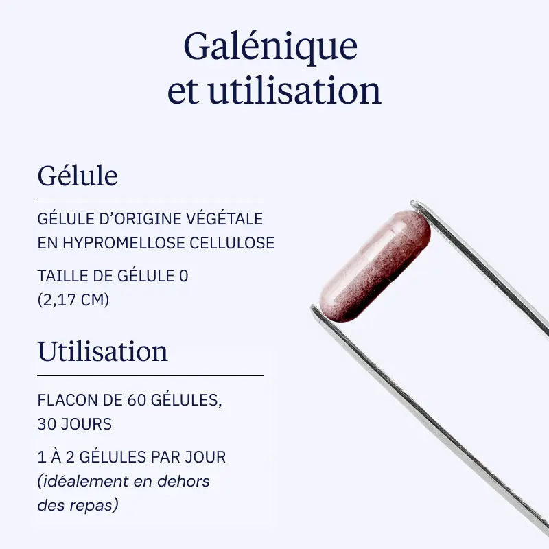 grenade galenique