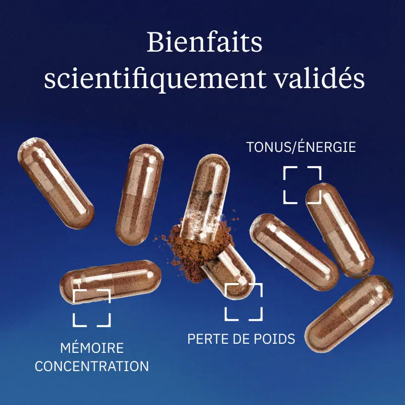 guarana bienfaits