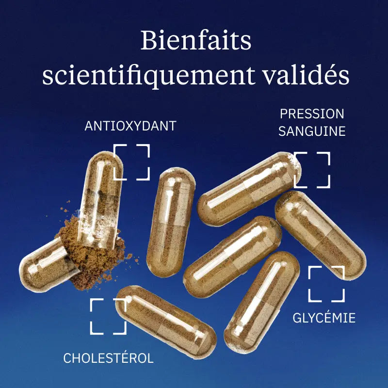 hydroxytyrosol bienfaits