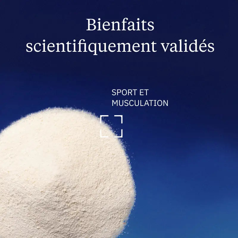 isolat de whey bienfaits