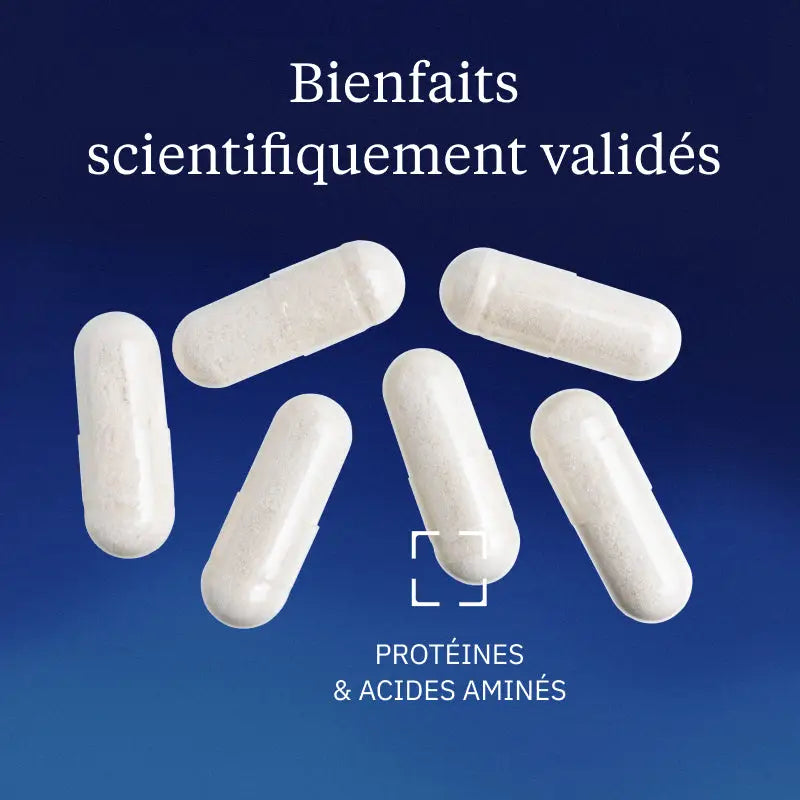 l glutamine bienfaits