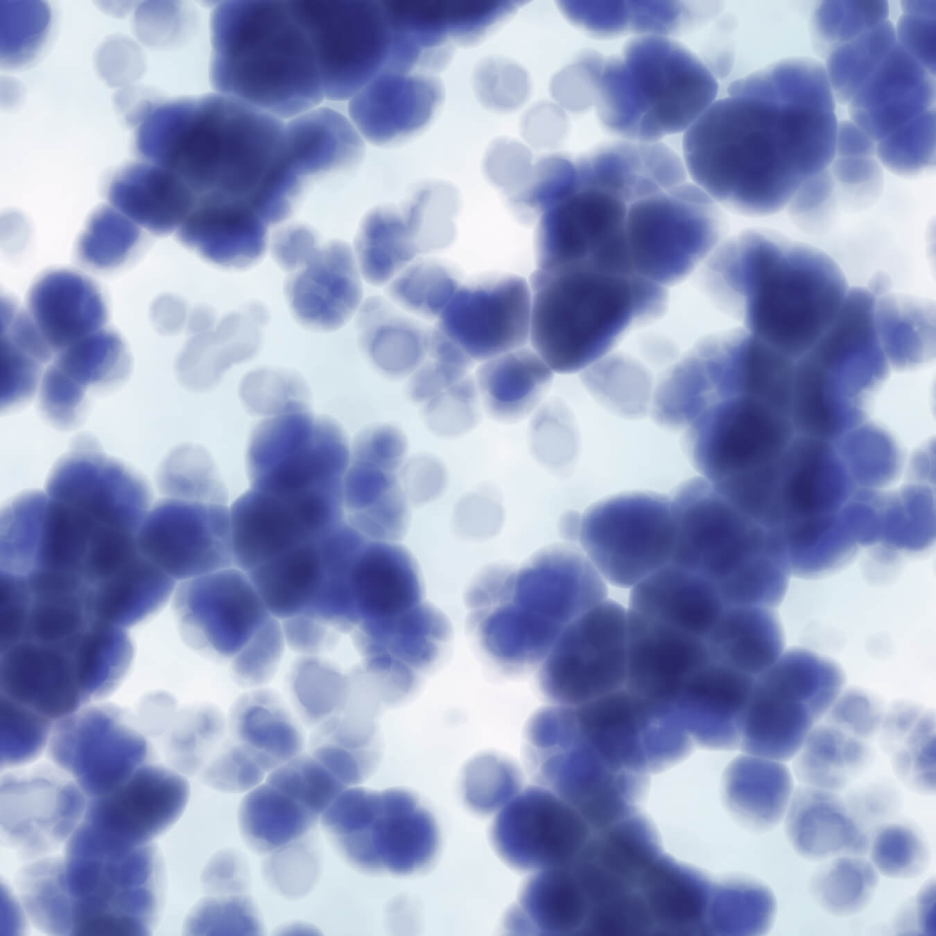l tyrosine image ingredient