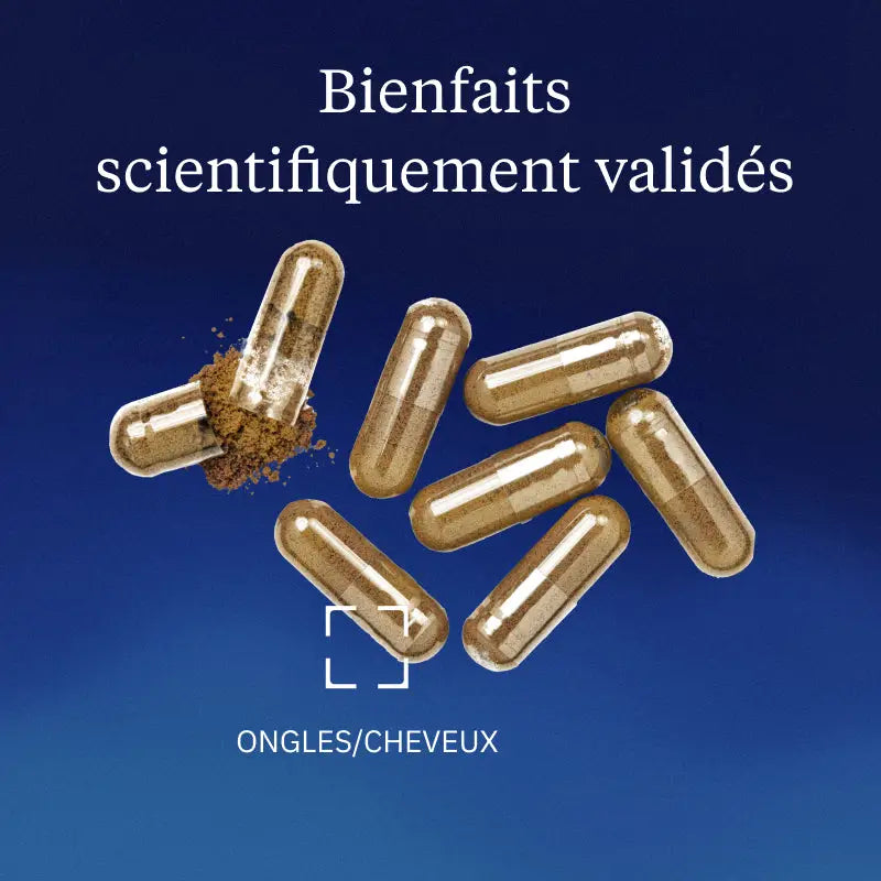 levure de biere bienfaits