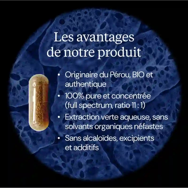 maca avantages