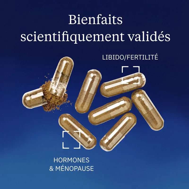 maca bienfaits