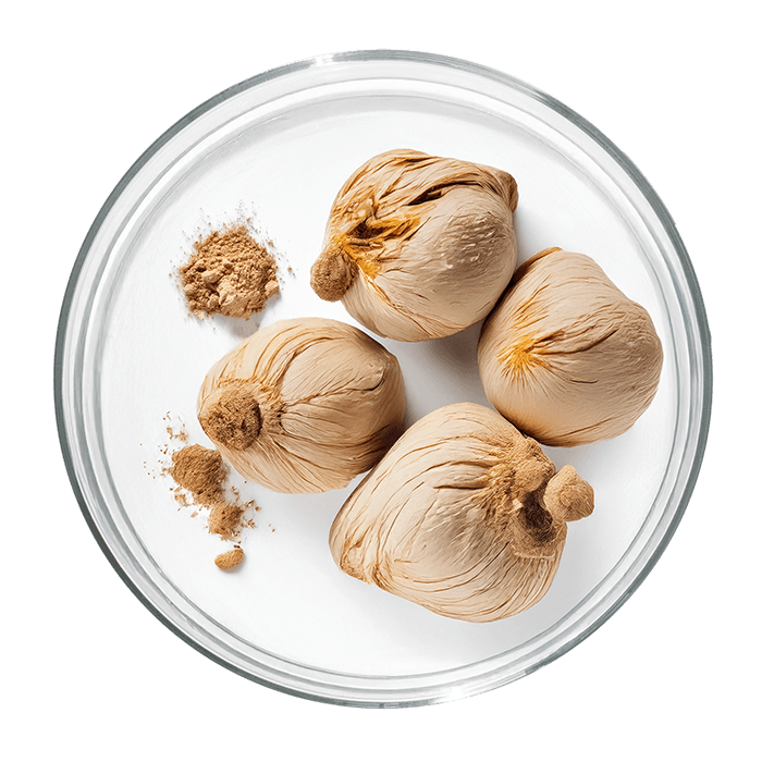 maca image matiere