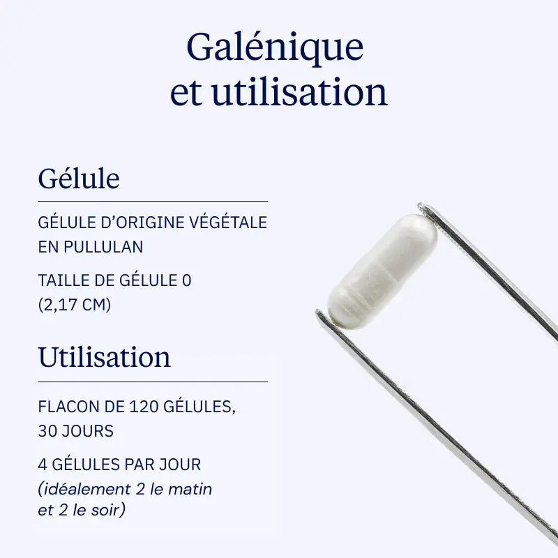 mag 360 Galénique