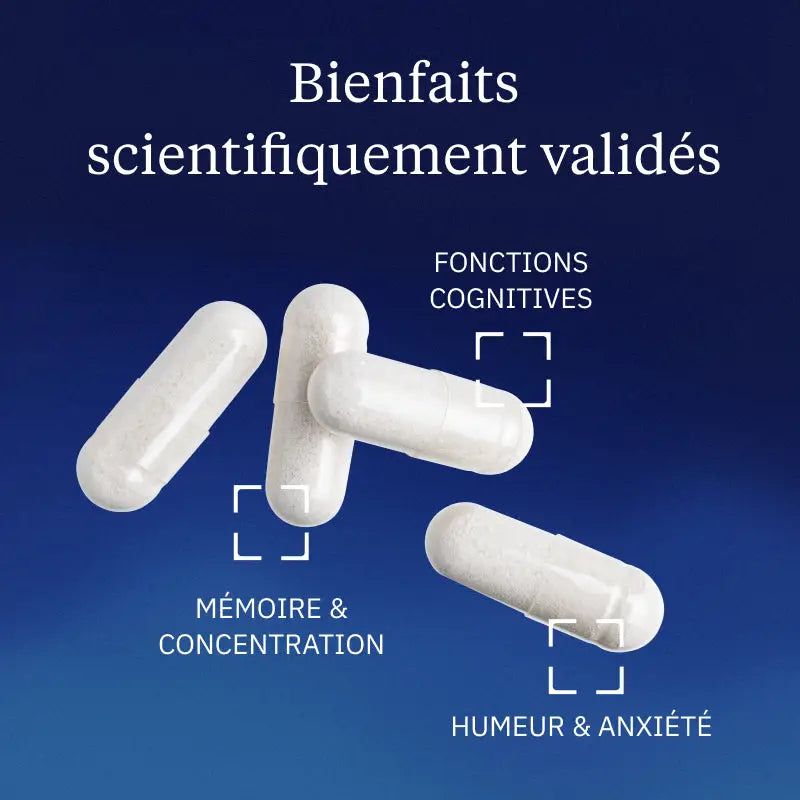 magtein bienfaits