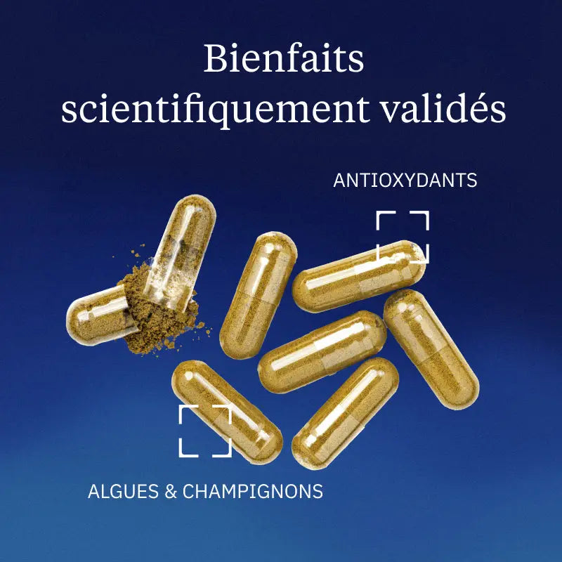 maitake bienfaits